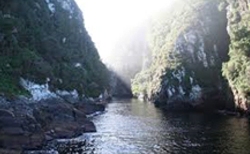 Cape Town / Knysna on Private Tour