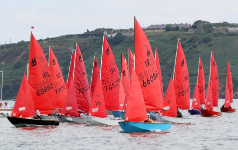 Mirror dinghies racing in Cork harbour