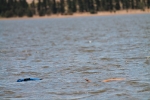 2015 African Mirror Champs_168